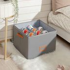 Shoe Storage Box for Closet