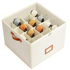 Shoe Storage Box for Closet